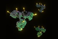 The Evolution Of Antibody-Drug Manufacturing Isolated Antibody Drug Conjugates ADCs GettyImages-1438509824