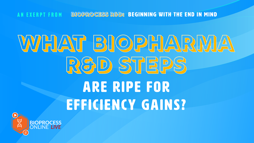 24_01_BPL_R&D_Segments_1920x1080_05