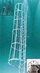 Fixed Cage Ladders