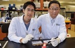 NUS Researchers Develop Wireless Light Switch For Targeted Cancer Therapy NUS-cancer