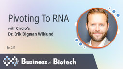 24_01_BoB_1280x720_Ep217 24_01_BoB_1280x720_Ep217