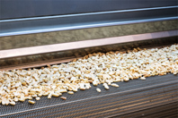 Raw Material Product Inspection: Are You Missing This Important Stage? Peanut Packing Production Line GettyImages-1202323822