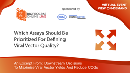 Which Assays Should Be Prioritized For Defining Viral Vector Quality?