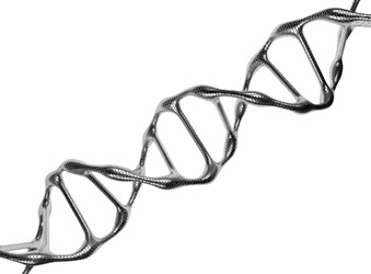 Genome Genome