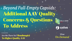 23_11_CGL_AAV_Webinar_Seg04 23_11_CGL_AAV_Webinar_Seg04