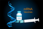 The Current Landscape Of mRNA Vaccines In Clinical Research MRNA-Vaccines