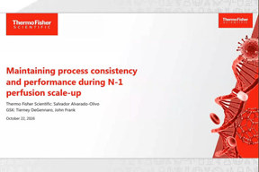 Maintaining Process Consistency And Performance During Scale-Up
