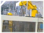 Automation for Plastic Molding Primary Molding Operations Automation for Plastic Molding Primary Molding Operations