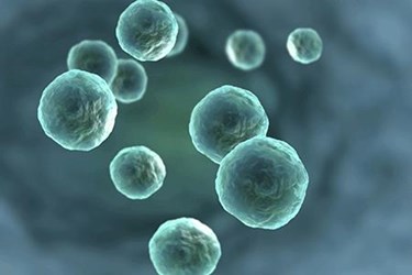 Trends and Challenges In Outsourced Oral Solid Dosage Forms