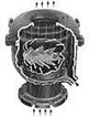 Cast Iron Exhaust Heads Cast Iron Exhaust Heads
