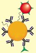 Microspheres for High-Throughput Screening Assays