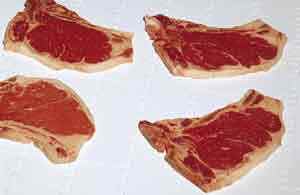 Impact-Resistant Plastic Conveyor Belt 