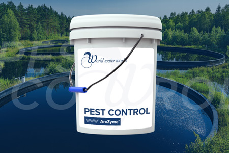 Controlling Midge Flies In Wastewater Treatment Systems