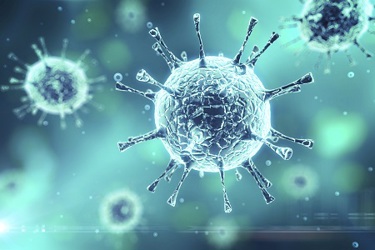 Virus Cell Virus Cell