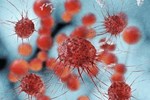 BMS' Opdivo Trials: What They Teach Us About Successful Studies BMS’ Opdivo Trials: What They Teach Us About Successful Studies