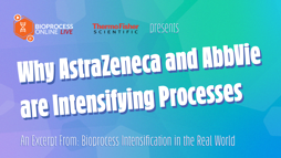 24_06_BPOL_1280x720_Seg01