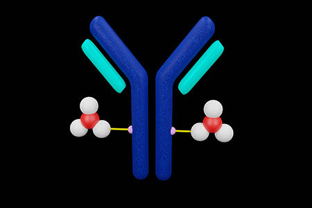 Characterization Of An Antibody-Drug-Conjugate (ADC) Using Electron ...