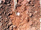 Soil Erosion Polymer