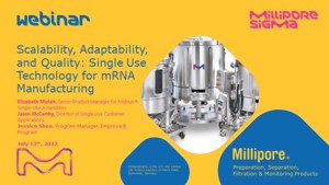 1_0AE379261E87FBA6430E11237DF2EB46