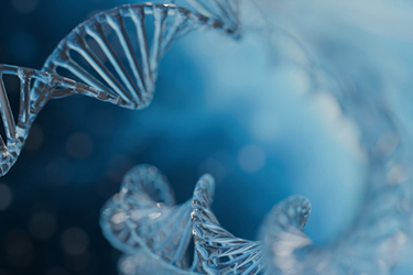Lenti-For-In-Vivo-Applications-GettyImages-2177211601 Lenti-For-In-Vivo-Applications-GettyImages-2177211601
