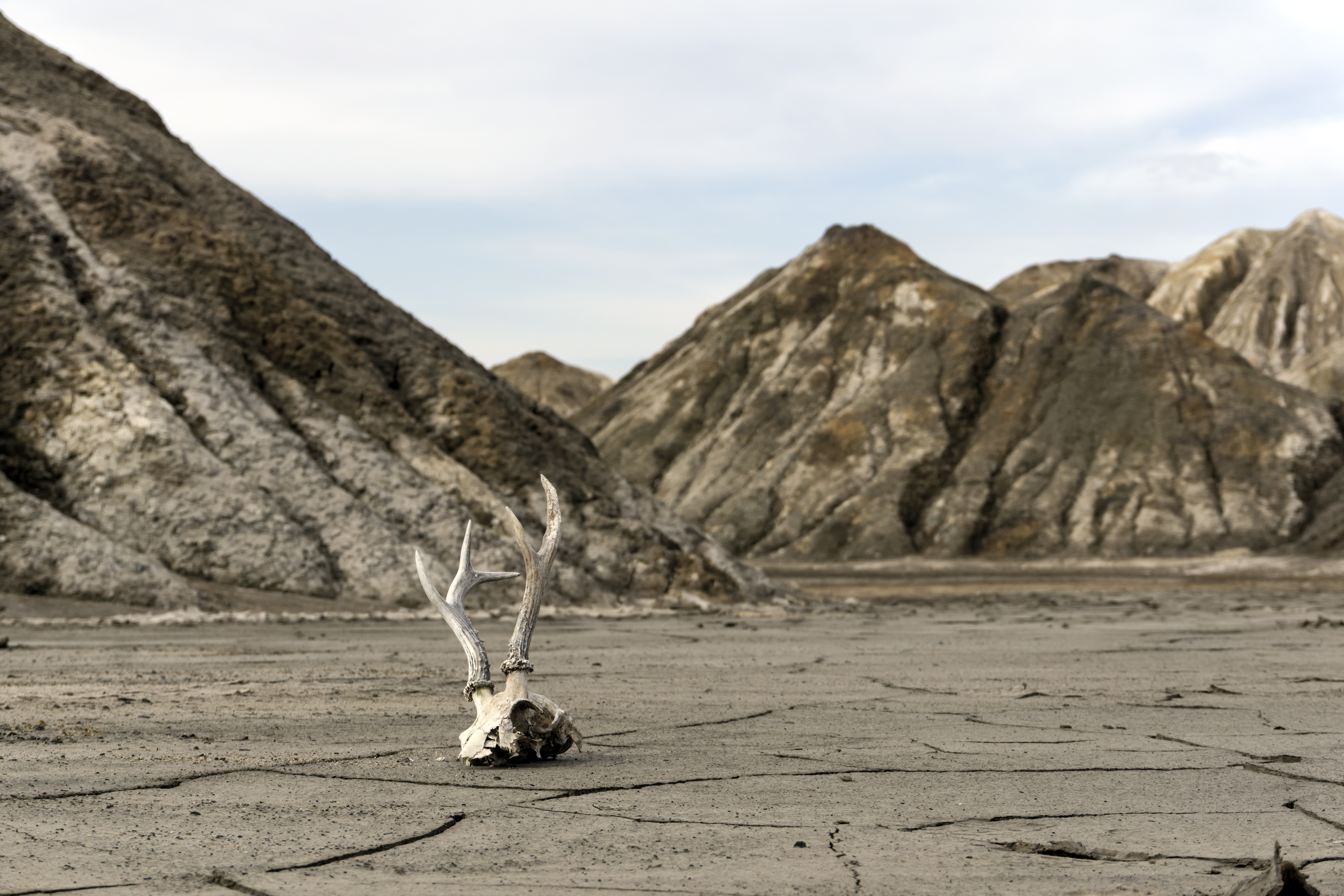 Directed Energy's Walk Through The Valley Of Death - Vimarsana News