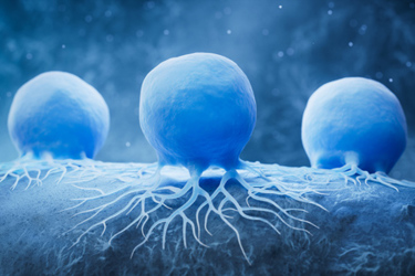 Biological cancer cell disease-GettyImages-2161692091 Biological cancer cell disease-GettyImages-2161692091