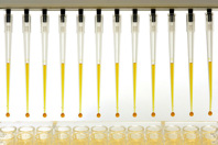 DNA Amplification, automated analysis-GettyImages-172187768