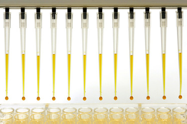 DNA Amplification, automated analysis-GettyImages-172187768 DNA Amplification, automated analysis-GettyImages-172187768