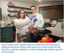 gI_118829_kidneyOnAChip gI_118829_kidneyOnAChip