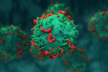 CAR T Cells-GettyImages-2196144750 CAR T Cells-GettyImages-2196144750