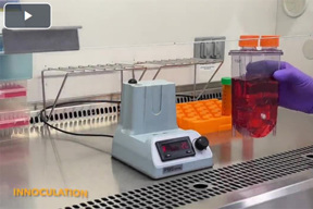 Inoculation In The PBS Mini