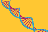 Millipore DNA Strand