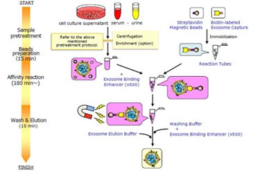 Exosome Isolation Kit Phosphatidylserine (PS): MagCapture