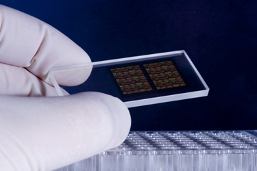 DNA Miroarray chips-GettyImages-182146269