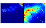 UK Scientists Invent Camera That Can 'See Through' Human Body photon-camera-2