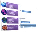 amsbiopr3-image.jpg amsbiopr3-image.jpg