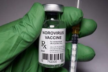 Norovirus, viral disease vaccine-GettyImages-960428222 Norovirus, viral disease vaccine-GettyImages-960428222