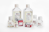 Transient Expression Technologies For Antibody Production Mirus CHOgro