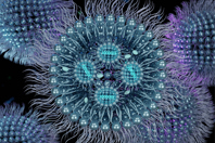 GettyImages-1409578453 LNP