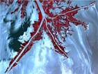 gulfoilspill.jpg