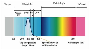 Keeping Food Safe With Light-Based Technologies Keeping Food Safe With Light-Based Technologies