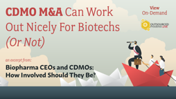 22_03_OPL_CEOCMOWebinar_1920x1080_Seg11