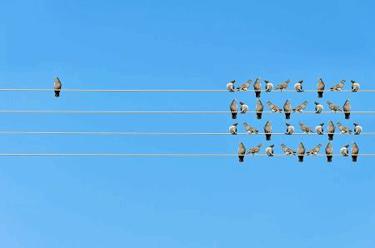 When The Goal Is To Be (Bio)similar, What Does Differentiation Mean? When The Goal Is To Be (Bio)similar, What Does Differentiation Mean?