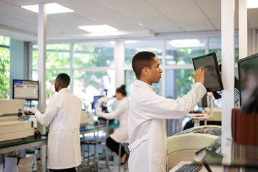 research-assistants-GettyImages-1371708041