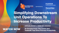 Simplifying Downstream Unit Operations To Increase Productivity