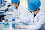 How Beta-lactams Can Pose A Risk To Your CGTs GettyImages-506999858-scientists-cell-culture-lab-development