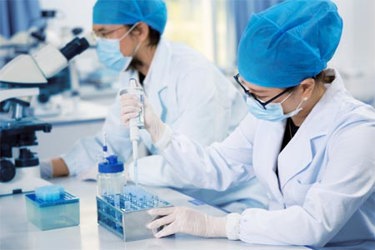 GettyImages-506999858-scientists-cell-culture-lab-development