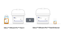 Thermo - Gibco EfficientPro