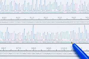 PCR DNA sequence analysis-GettyImages-942229746