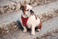 GettyImages-1017385132